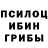 Галлюциногенные грибы Cubensis IRWAN SKW