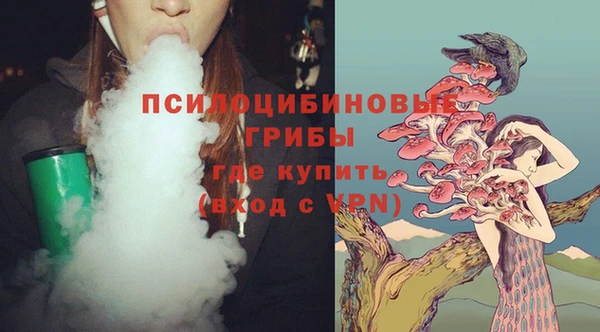 ГАЛЛЮЦИНОГЕННЫЕ ГРИБЫ Алексин