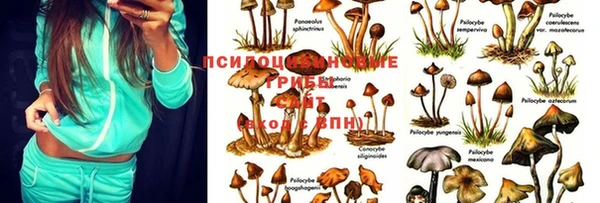 гашиш Алексеевка