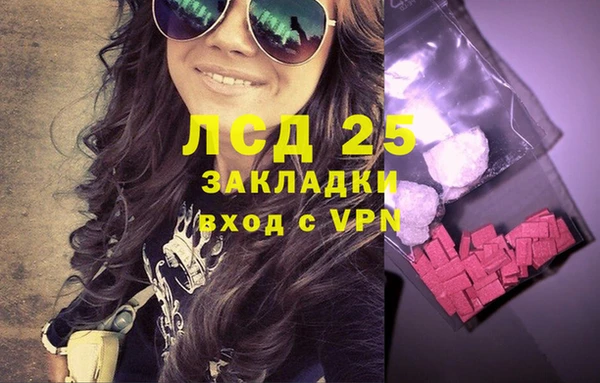 ГАЛЛЮЦИНОГЕННЫЕ ГРИБЫ Алексин
