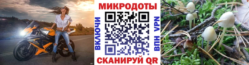 Галлюциногенные грибы Psilocybine cubensis  цена наркотик  Буй 